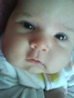 amalia