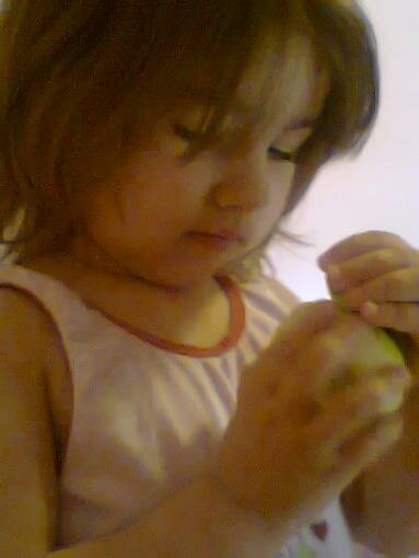 ysuca