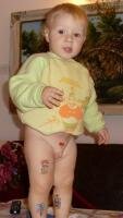 corni