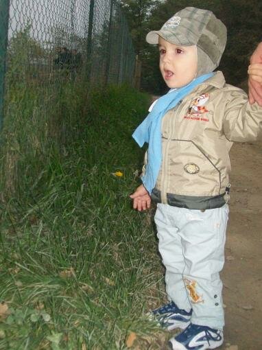 iannis