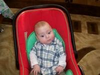 Bebe David