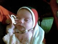 de ce se tine suzi dupa mine?