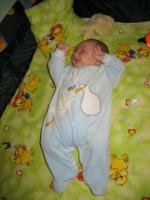 lucas 4 luni 