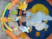 uy ce de animalute colorate