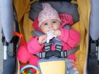 Ursuletul din buzunar