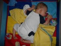 Am adormit in tarc...