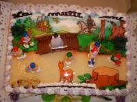 am avut un an...tortuletul meu!!!!!