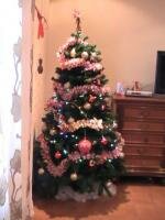 si noi avem bradut!!