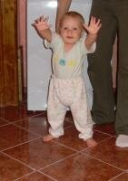corni