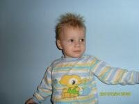 corni