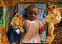kitty
