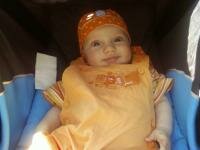 imaginea utilizatorului gogomic