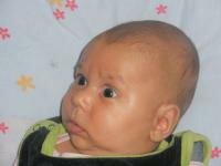 imaginea utilizatorului alimari