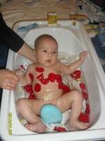 imaginea utilizatorului livia.alberto